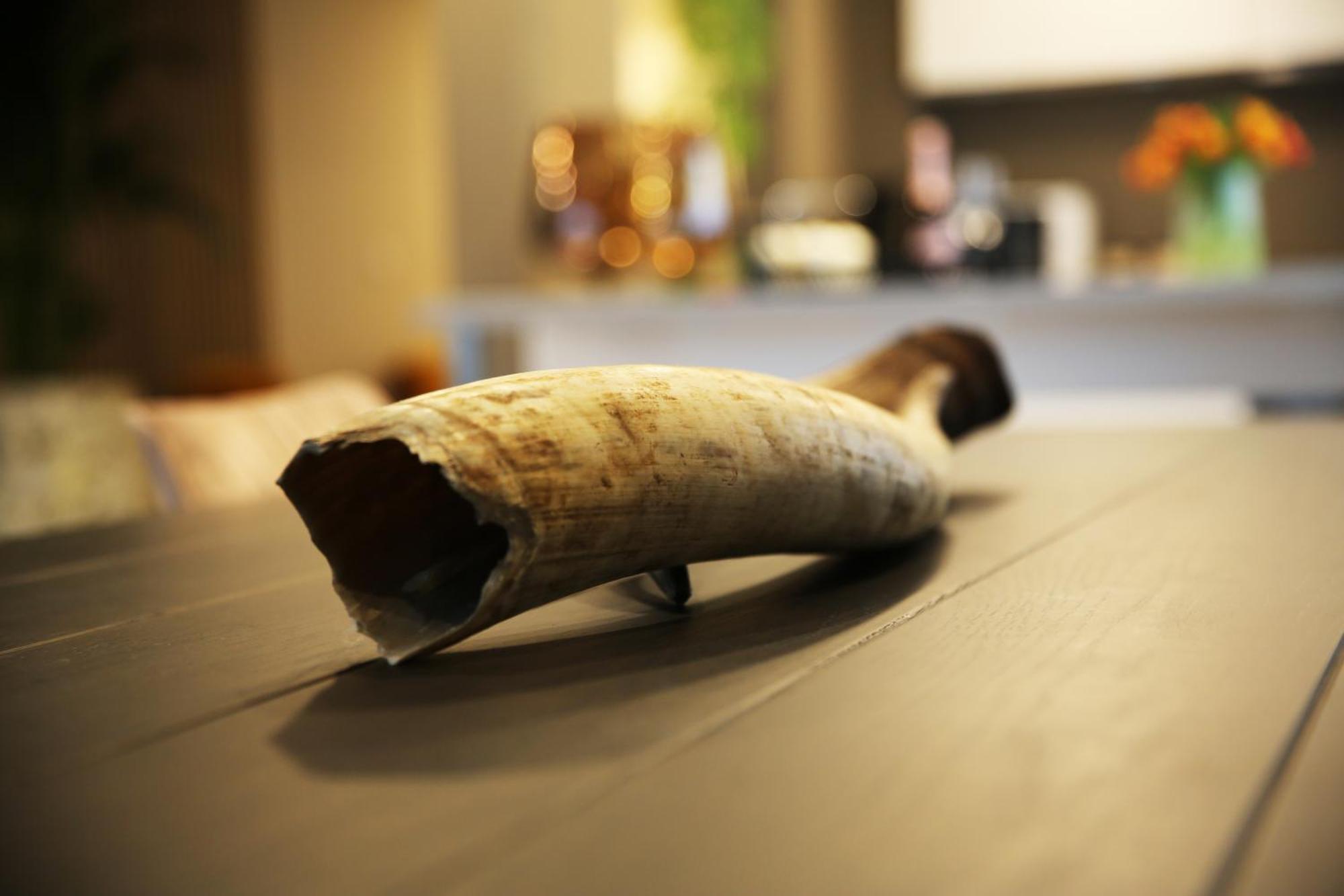 L'Appart Baobab, Avec Sauna Liège Extérieur photo